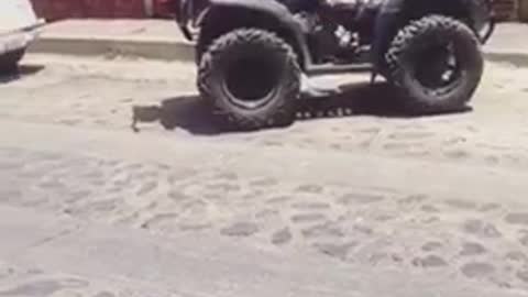 Little kid rides four wheeler up street and parks between cars