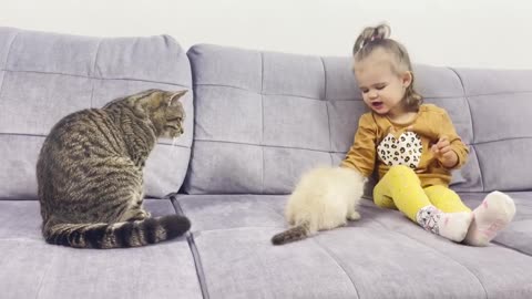 Cute_Baby_Feeding_Kitten_and_Cat!