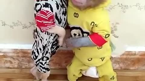 Baby monkey and dog puppy playing together