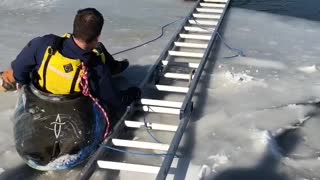 Group Of People Saves A Dog From A Semi-Frozen Lake