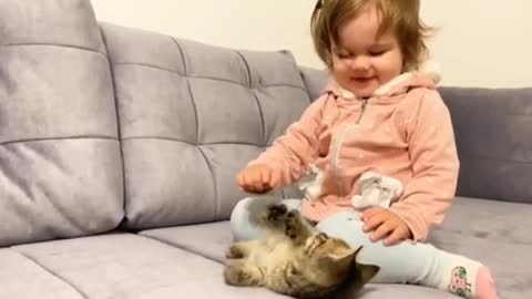 Baby cat and baby girl first meet each other