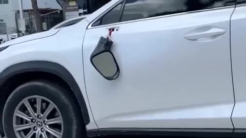 Quite a jump to punch a car mirror