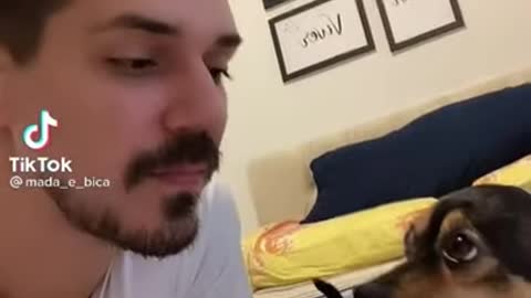 Kiss your pet and see your reaction