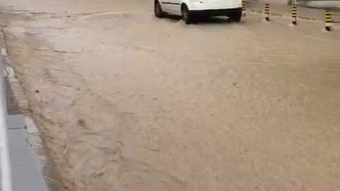 Clever Kitty Escapes Flooded Street