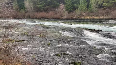 The Waterfall Convergence of Metolius River – Central Oregon