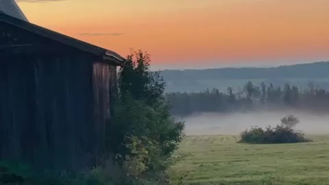 Patchy fog at sunrise