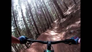 Riding My Favorite Trails at Bright Australia