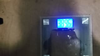Weigh-In Dec 16, 2023