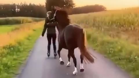 Horse SOO Cute! Cute And funny horse Videos Compilation cute moment #22