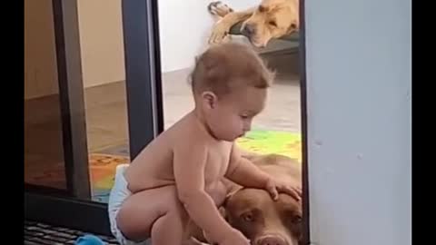 Baby With Big Big Dog