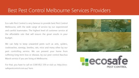 Pest Control Melbourne Eco Safe