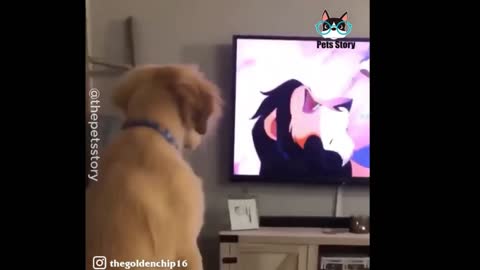 Lion King is the favorite cartoon of this adorable puppy