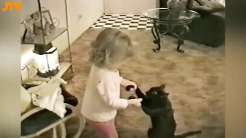 Cute-Cat-and-Babies-Playing-Together...Funny-Cat-Videos