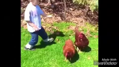 Kids being bullied by Chickens