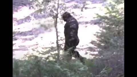 Bigfoot Scares Family in North Alabama