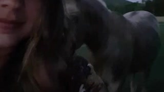 Gassy Horse Greets Owner Before Bed