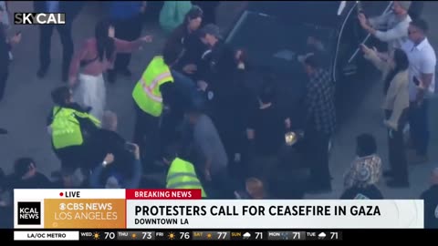 Fight Breaks Out In The Streets After Pro-Palestine Protestors Block Road