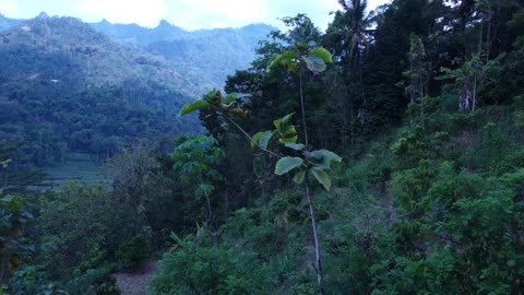 green hill view with fresh air