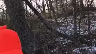 Hunters Rescue a Fawn Trapped on Ice