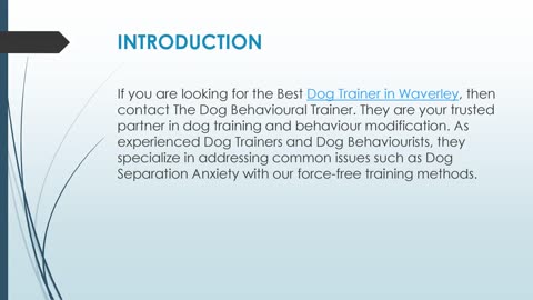 Best Dog Trainer in Waverley
