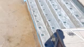 Vinyl Pool Liner Replacement (Bonaire GA) by LazyDayPools.com. Removed Old Liner.