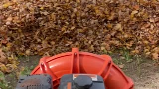 Fall leaves with Billy Goat blower