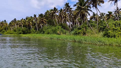 Kerala nature beauty