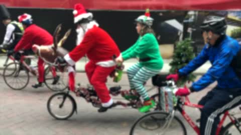 Santa Close Crossing Streets With Bicycles Full Of Christmas Trees