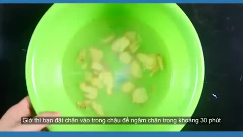 Công dụng của gừng