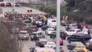 Seattle Washington - Pro-Palestine Protesters Bring the I-5 Highway to a complete Standstill, Blocking All Traffic