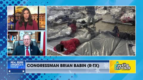 Rep. Brian Babin (R-TX): "We invited Kamala Harris to come with us," to the Border