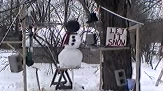 Man Creates Snowman-Destroying Machine