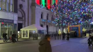 Wall Street Christmas Tree 🎄 New York