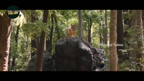 Tollywood Biggest Blockbuster Tiger Fight Scene | Mohanlal | Namitha |Tollywood Talkies.