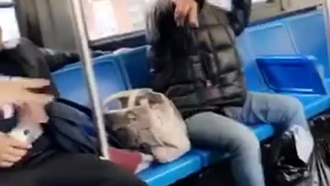 Man and woman dancing on bus spanish music