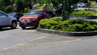 Peculiar Behavior in Parking Lot