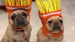'Frenchie Fries" Halloween Costume Is Simply The Best