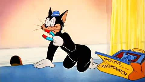 How tom caught jerry, funny cartoon videos, cartoon videos, funny kids videos