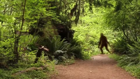 Researchers from Expedition Bigfoot Unearth Astonishing Evidence of Bigfoot in Alaska