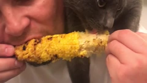 Real friends share corn together
