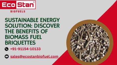 Sustainable Energy Solution: Discover the Benefits of Biomass Fuel Briquettes