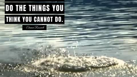 You Must Do the Things You Think You Cannot Do