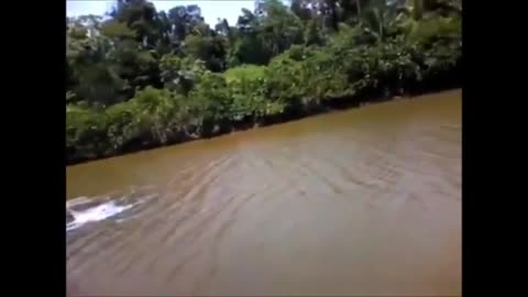 Mysteries in the Amazon River Brazil