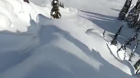 Learned skiing skills