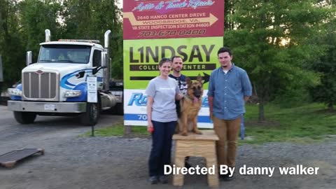 German Shepherd Dog Trainers