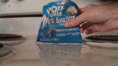 review mini pop tarts