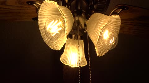 LED vs Regular Incandescent Bulb