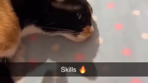 Wow what a skill 🔥🔥