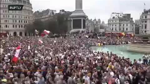 HALF A MILLION PROTESTING AROUND THE WORLD