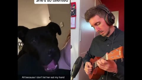 dog singing it's true "Rumble viral" 'Unforgettable Moments'